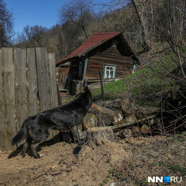Источник: Наталья Бурухина / NN.RU