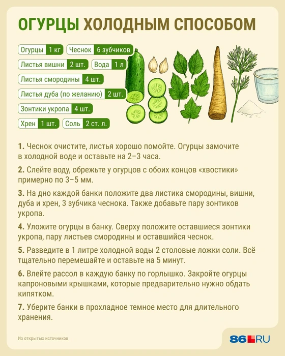 Источник: Юрий Скулыбердин / Городские медиа