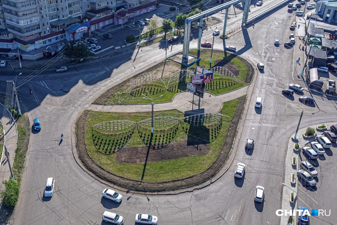 Высаженные в центре Читы цветы не продержались и дня — их украли неизвестные | Источник: Олег Фёдоров / CHITA.RU