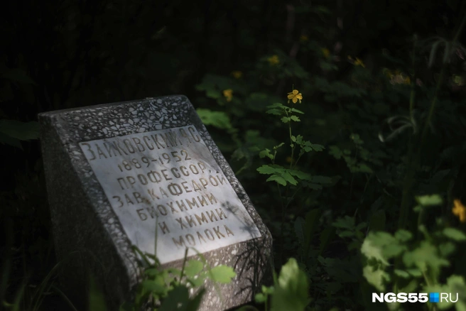 На кладбище ОмГАУ похоронен один из создателей белого шоколада  | Источник: Евгений Софийчук / NGS55.RU