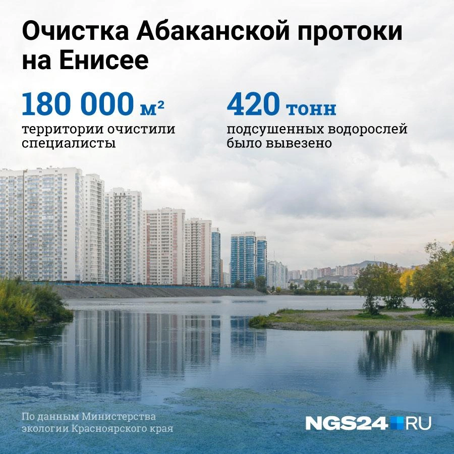 Источник: Евгения Бикунова