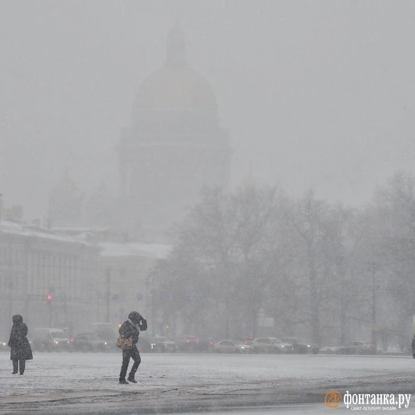Источник: Михаил Огнев / FONTANKA.RU