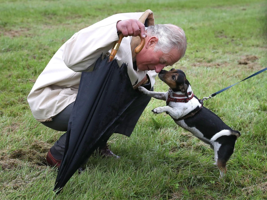 Будущее бросает ему вызов: астролог рассказал, каким будет 2025 год для короля Карла III | marieclaire.ru