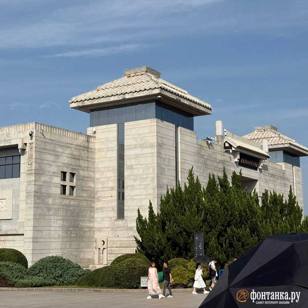 Источник: Милена Солдатенко / «Фонтанка.ру»