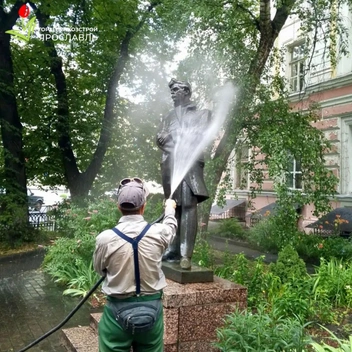 Белорусского поэта Максима Богдановича помыли | Источник: МБУ Горзеленхозстрой / vk.com 