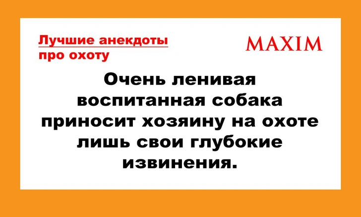 Лучшие и смешные анекдоты про охоту | maximonline.ru