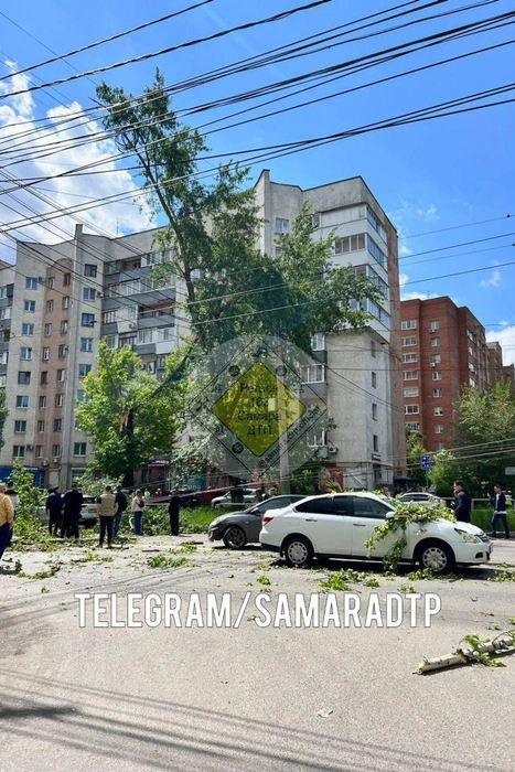 Дерево задавило две машины | Источник: «Самара ДТП» / T.me