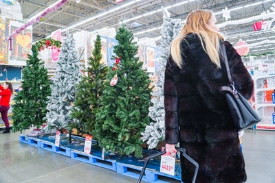 Роспотребнадзор Удмуртии о выборе искусственной елки