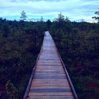 Аватарка izlesa