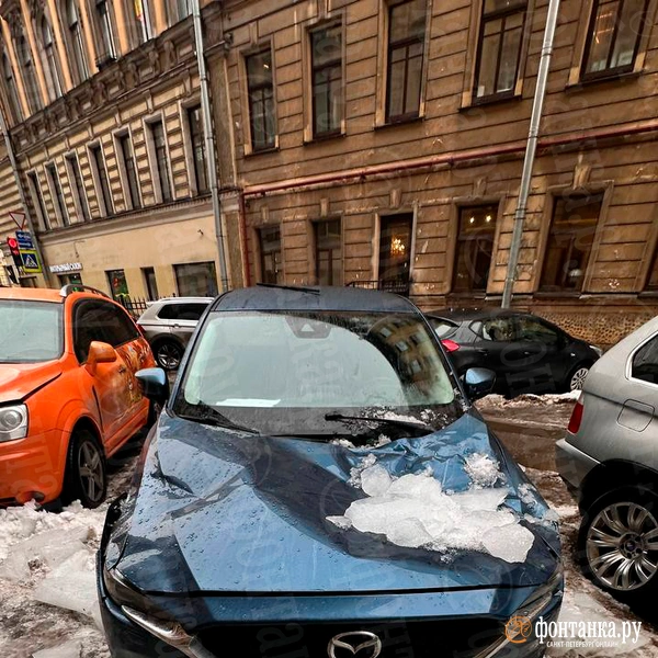 Источник: читатель «Фонтанки» 