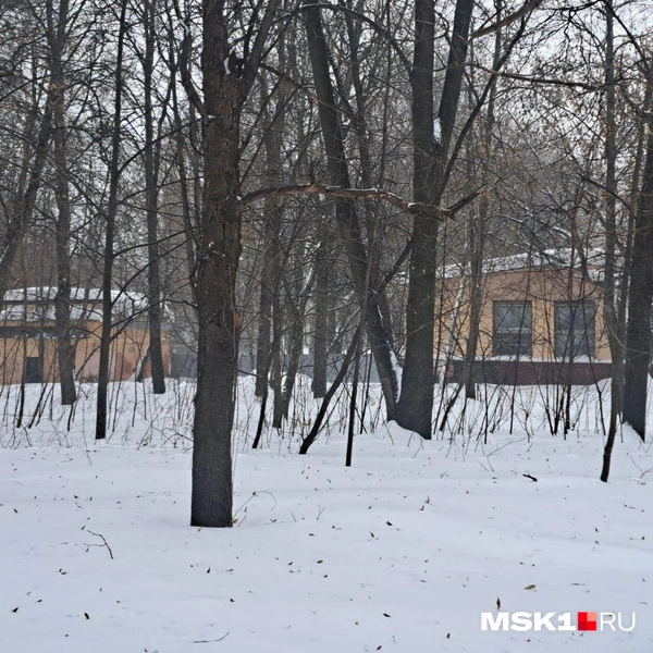 В будний день гуляющих в парке немного | Источник: Арина Майорова / MSK1.RU