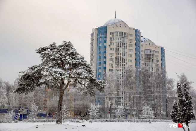 В воздухе над Ярославлем обнаружено превышение опасных веществ | Источник: Александра Мамонтова / 76.RU