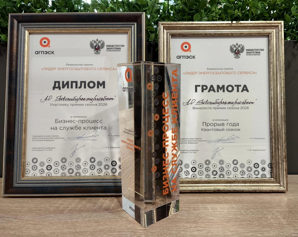 В компании отметили, что победа — признание заслуг тех, кто делает сервис удобнее и инвестирует в «зеленые» технологии | Источник: АО «Новосибирскэнергосбыт»