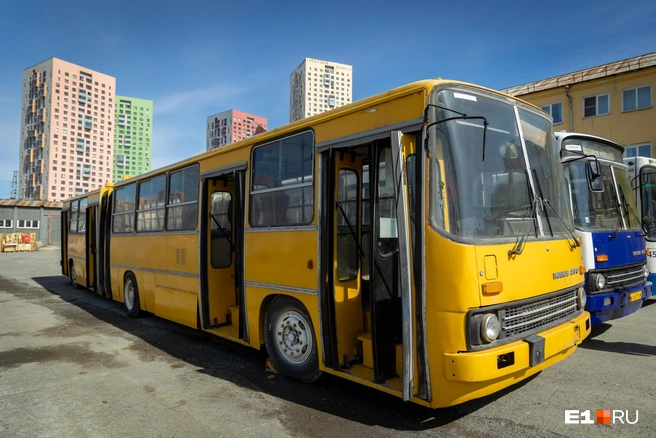 Легендарные Ikarus-280. Такие машины ездили по Свердловску в 80–90-е годы | Источник: Владислав Лоншаков / E1.RU