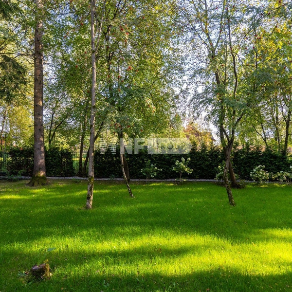 Источник: NF group