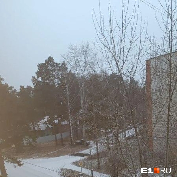 Источник: читатель E1.RU