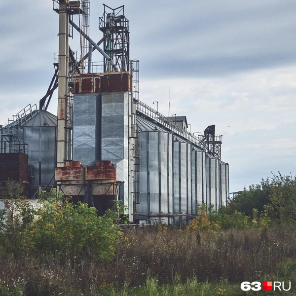 Источник: Роман Данилкин / 63.RU