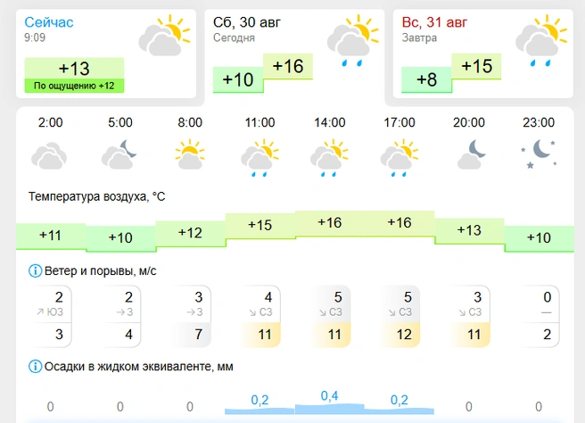 По данным «Гисметео» дождь ожидается с 11:00 до 17:00 | Источник: gismeteo.ru