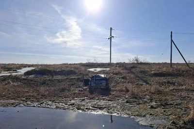 Пьяная омичка вылетела в кювет, пострадали подростки