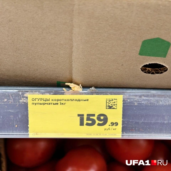 Источник: Булат Салихов / UFA1.RU