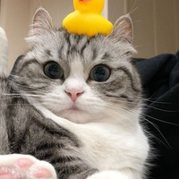 Аватарка 18-55