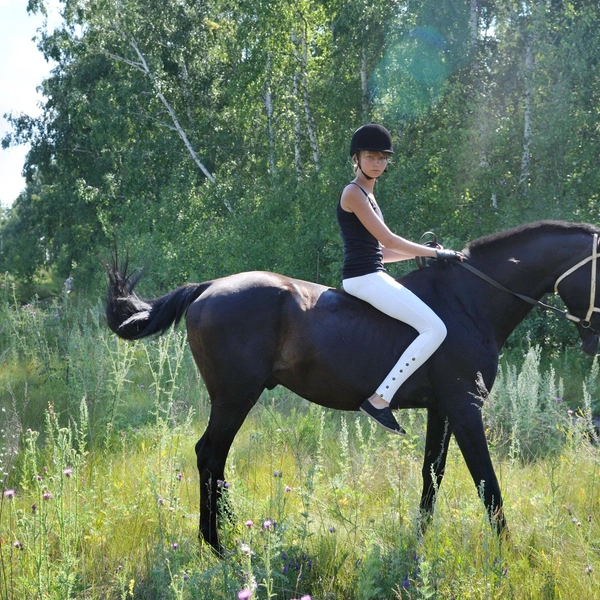 Конные прогулки очень полезны для здоровья | Источник: Оксана Суханова / Vk.com