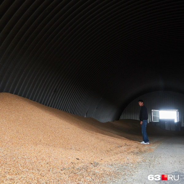 Источник: Роман Данилкин / 63.RU