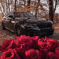 Аватарка Екатерина