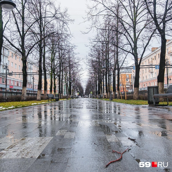 На асфальте лужи | Источник: Тимофей Калмаков / 59.RU