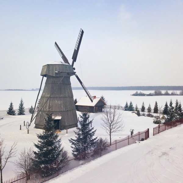 Источник: Maxim Weise/Shutterstock/Fotodom.ru