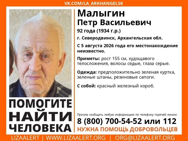 Источник: Поисковый отряд «ЛизаАлерт» Архангельской обл. / Vk.com