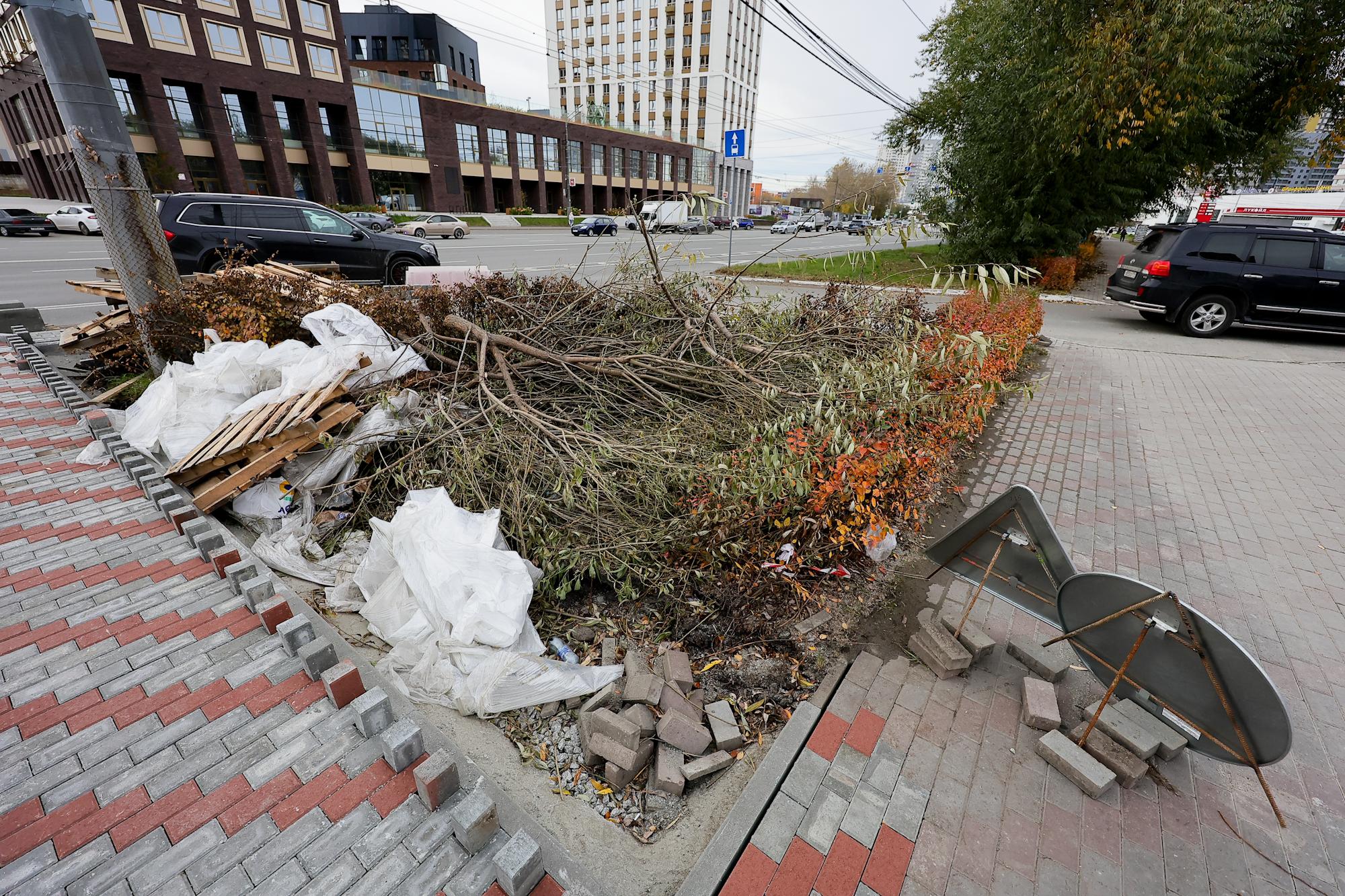 «Вместо взрослых лип — какие-то хилые веточки»: в центре Челябинска снова вырубили деревья