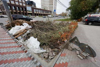 В центре Челябинска снова вырубили деревья