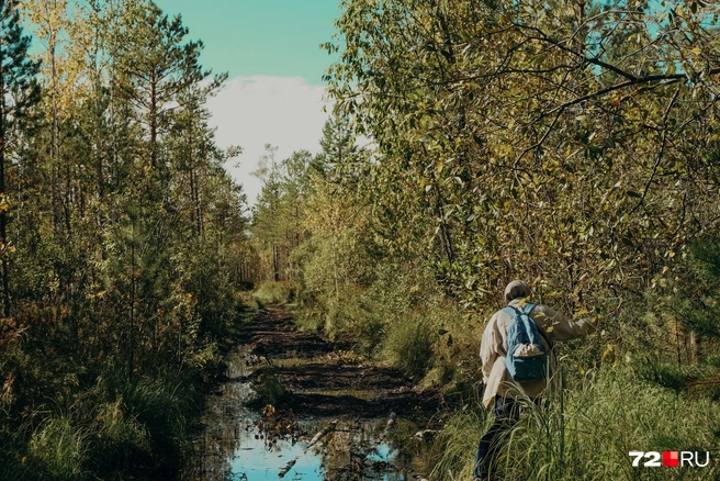 По такой дороге мы шли до болота с Розой. Грязь, змеи, лужи | Источник: Анастасия Малышкина
