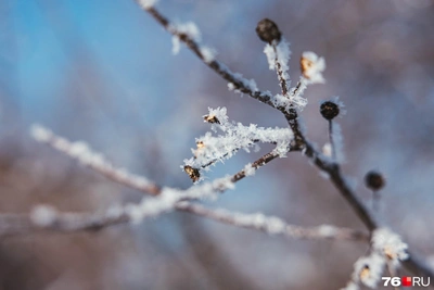 Прогноз погоды: ночные заморозки в Ярославской области
