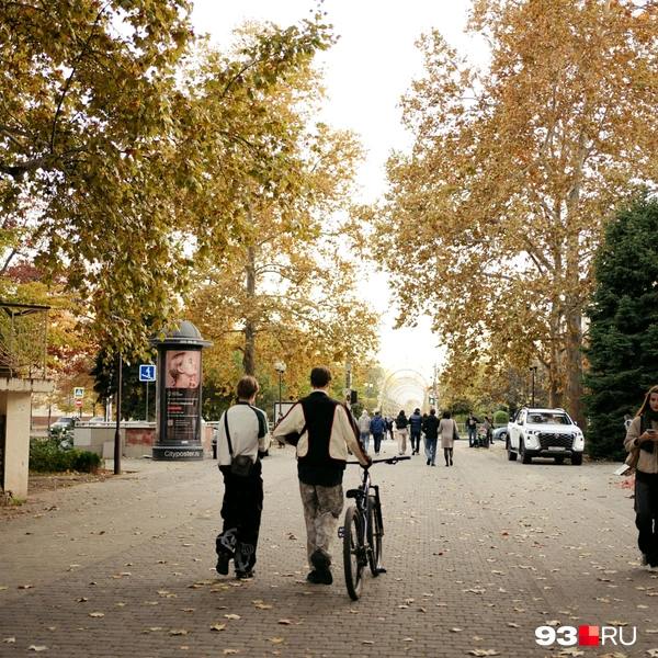 Источник: Дарья Паращенко / 93.RU