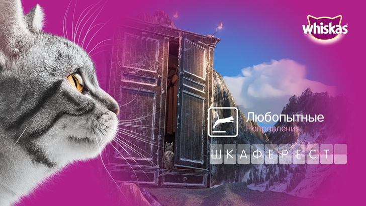 Фото №1 - Не дом, а целый мир — взгляните на квартиру глазами вашей кошки