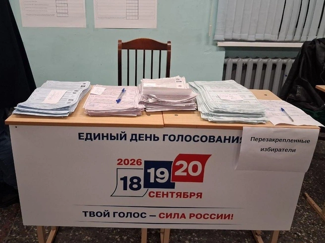 Количество бюллетеней с голосами за думские партии и за кандидатов в Госдуме оказалось ощутимо разным (голубые и зеленые бюллетени) | Источник: Анна Мотовилова/ FONTANKA.RU