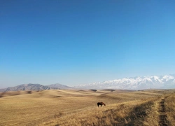 Не просто мода: Loro Piana взялись за спасение монгольских земель