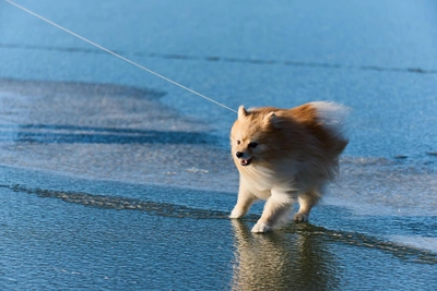 Погода в Иркутске: снег и ветер в понедельник