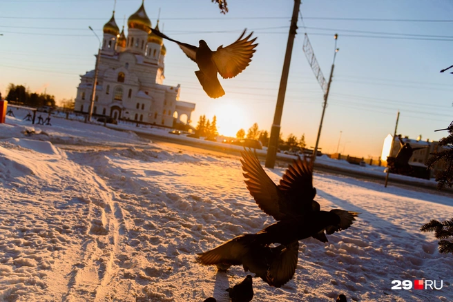 Источник: Иван Митюшёв / 29.RU