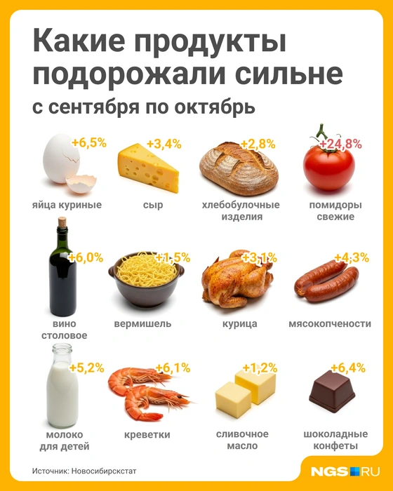 Источник: Юрий Орлов / NGS.RU