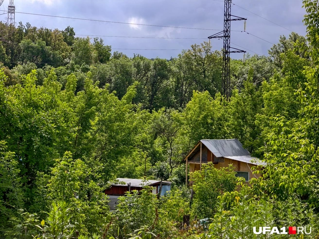 Типичные дачные постройки | Источник: Булат Салихов / UFA1.RU