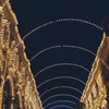 userpic__Лиса из пихтового леса