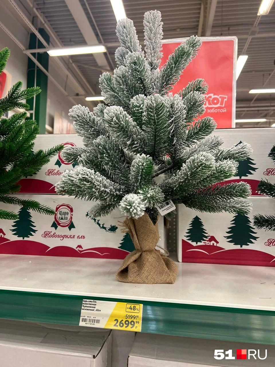 Источник: Александра Балаба