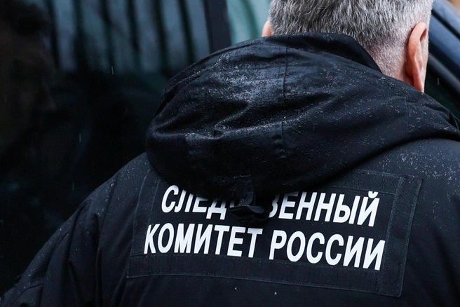 Бастрыкин заинтересовался Борковским карьером | Источник: Артём Устюжанин / MSK1.RU