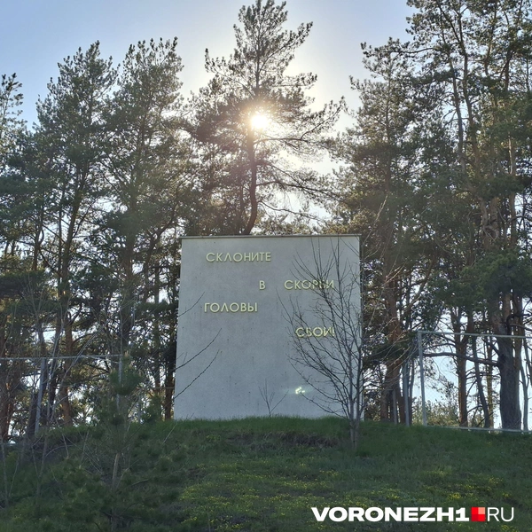 Источник: Алёна Воропаева / Voronezh1.ru