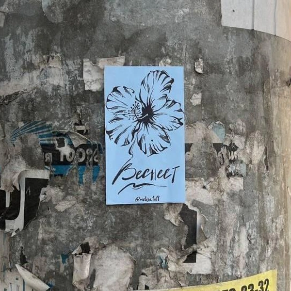 Открытки «Веснеет»&nbsp;— их расклеивает Лиза | Источник: мелиса и тату / telegram.org