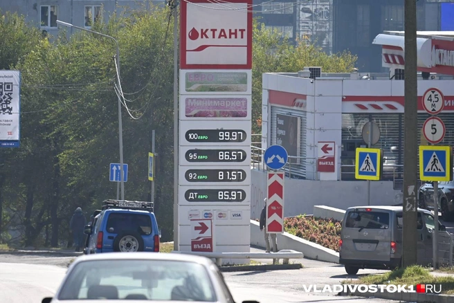 Источник: Елена Буйвол / VLADIVOSTOK1.RU