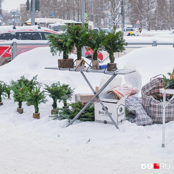 Частники сами устанавливают цены | Источник: Тимофей Калмаков / 59.RU